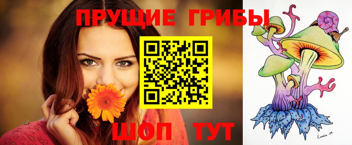 Псилоцибиновые грибы прущие грибы Алейск